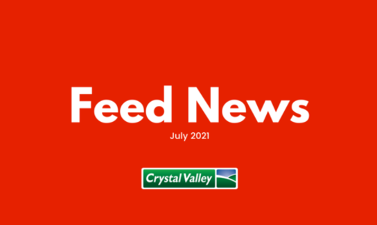 Blog Header 6